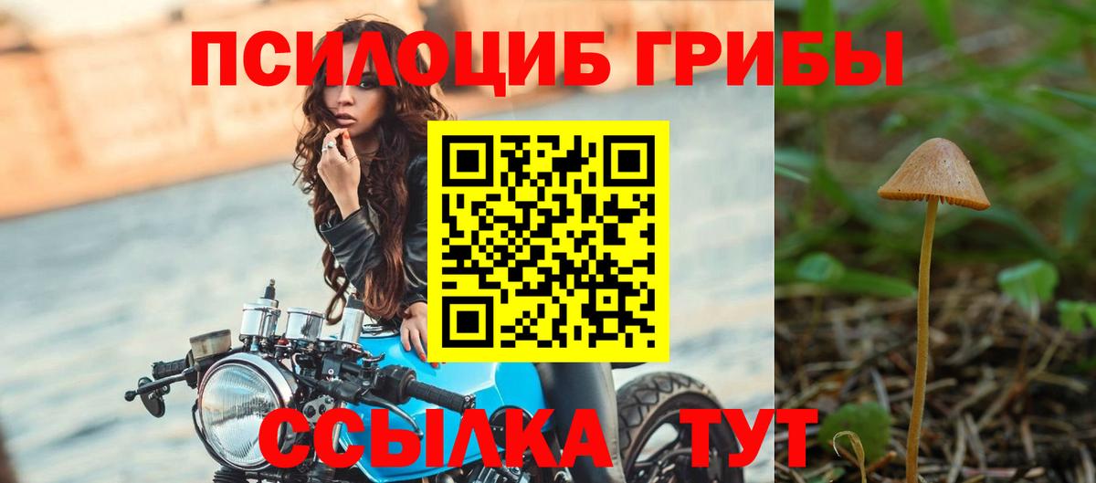 купить   Вход с VPN  Старая Русса  Галлюциногенные грибы MAGIC MUSHROOMS 